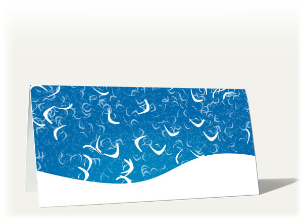 Best wishes from COAS Software Systems for 2010